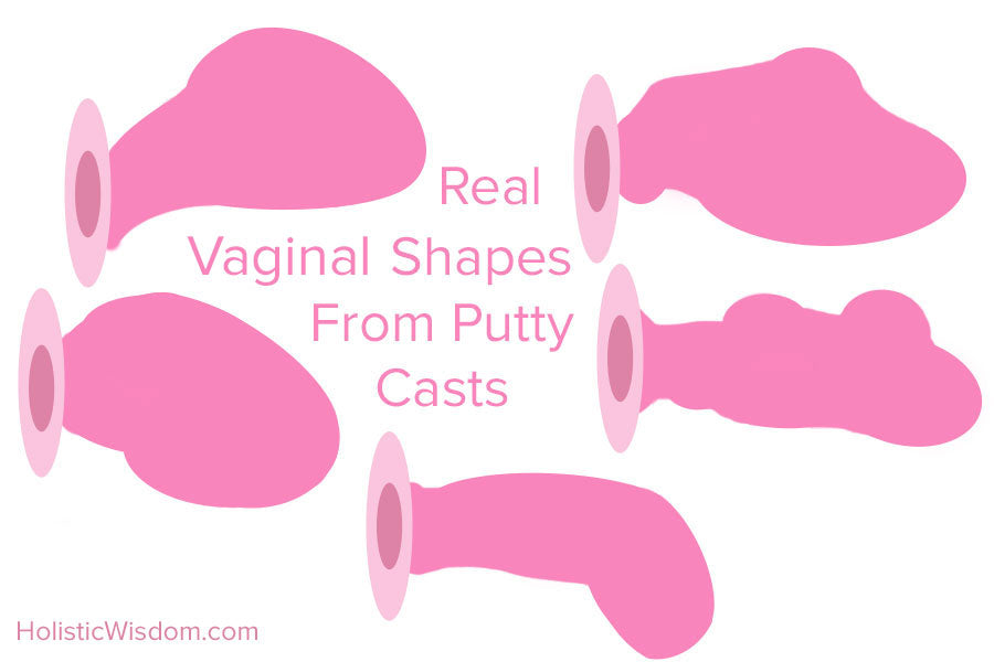 Real diagrams of internal vagina shapes made from putty casts