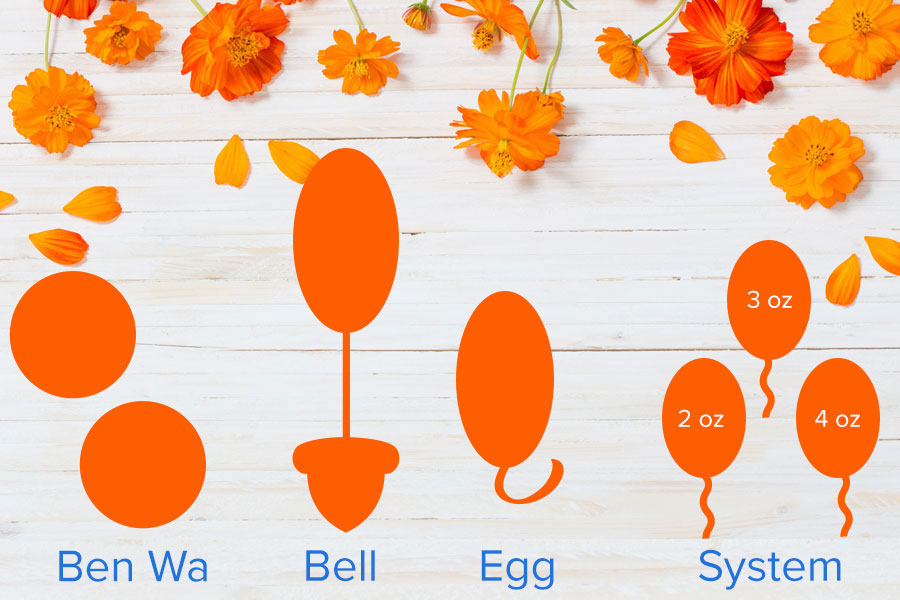 Kegel Weights Diagram