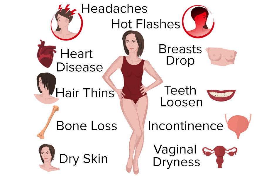 Menopause Symptoms Diagram