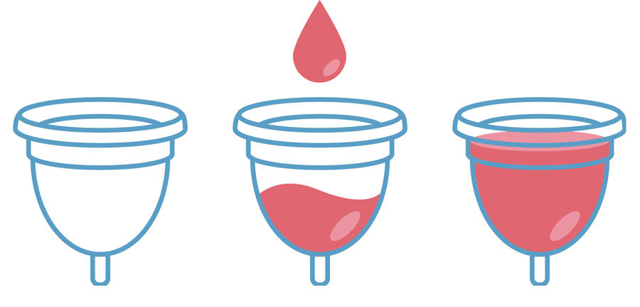 Menstrual cup full diagram