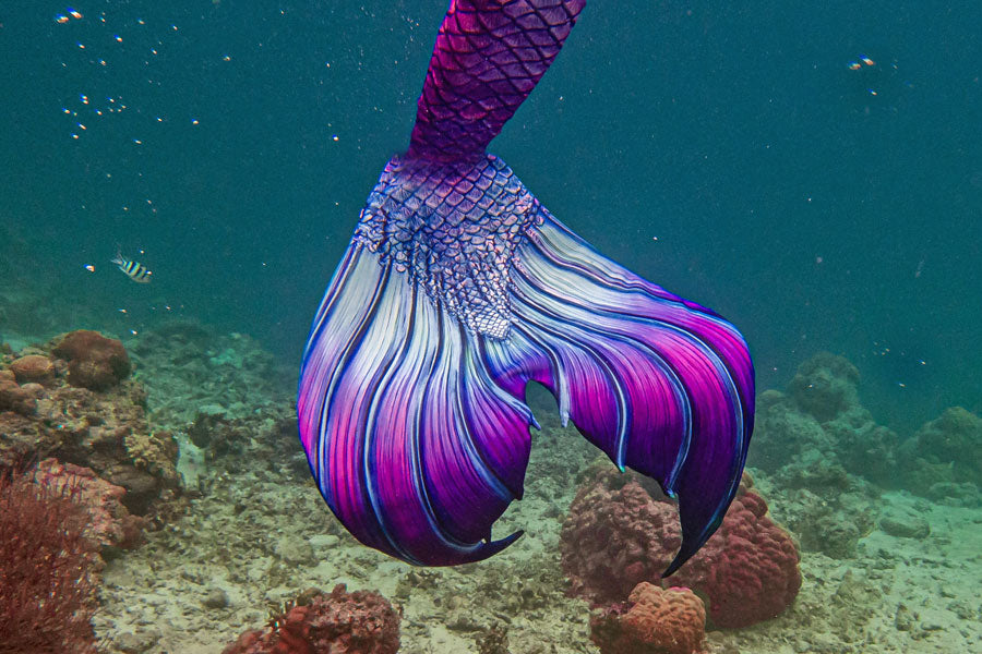 mermaid tail costume