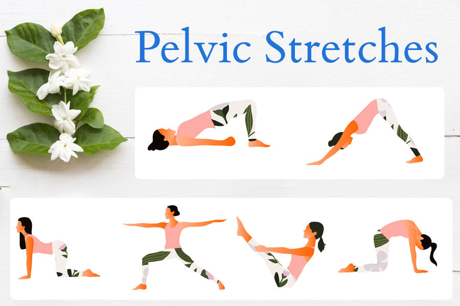 Pelvic Stretches Diagram