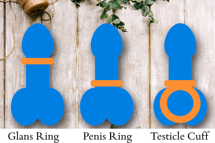 Erection Rings Diagram