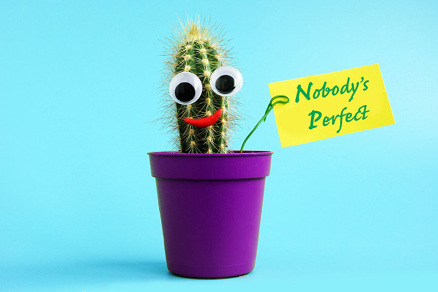 Cactus with googly eyes holding sign that says nobody's perfect