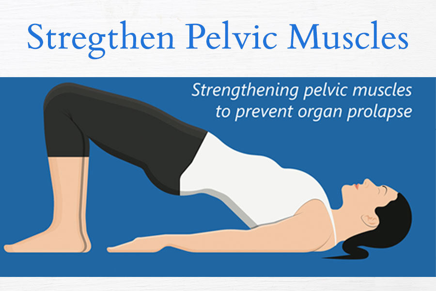 Strengthen Pelvic Muscles Diagram