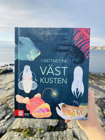 Boken I vattnet på västkusten i Lilla havsbutiken