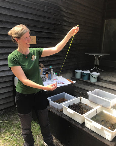 Marie Lenngren visar tång på naturum