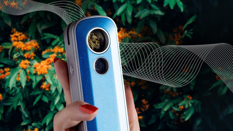 blue firefly 2+ with full heating chamber in woman's hand