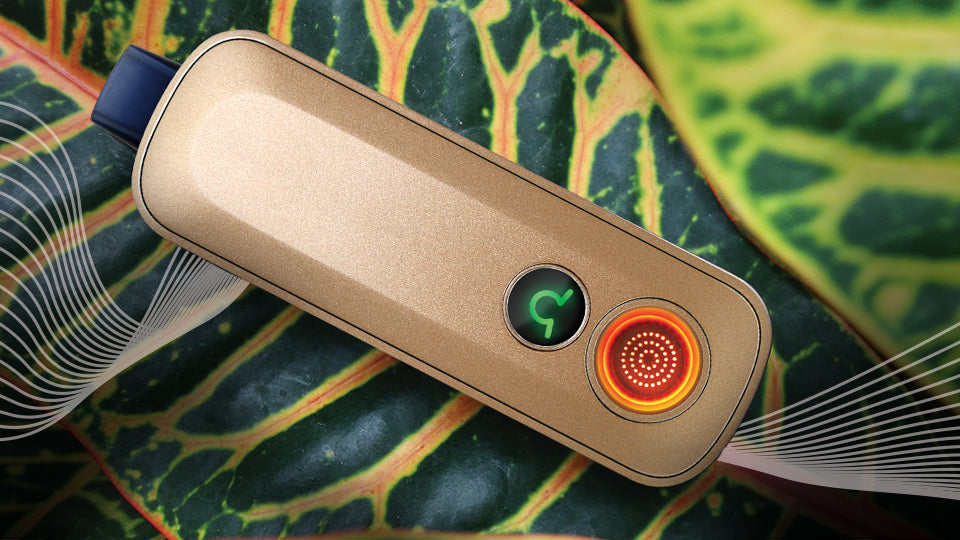 Firefly 2+