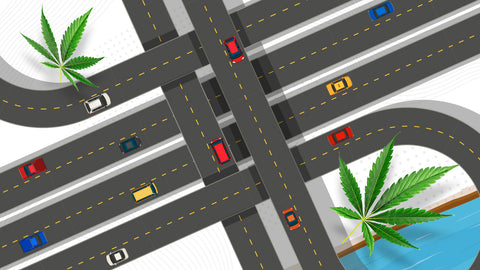 Information Highway demonstrating how cannabinoids function