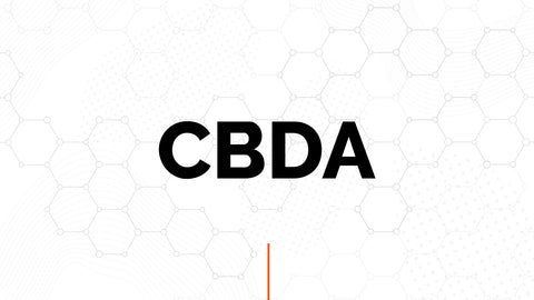 CBDA graphic demonstrating its role in the endocannabinoid ecosystem