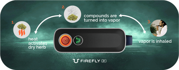how a firefly 2+ vaporizer works