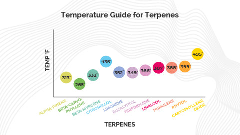 Temperature Guide for Terpenes