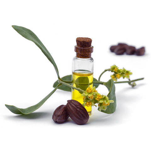 Jojoba oil in a small glass jar