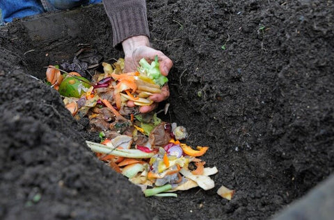 Trench composting