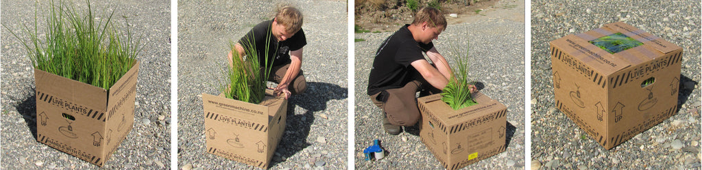 greenmachine packing and sending plants