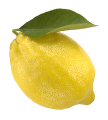 Zitrone Bio