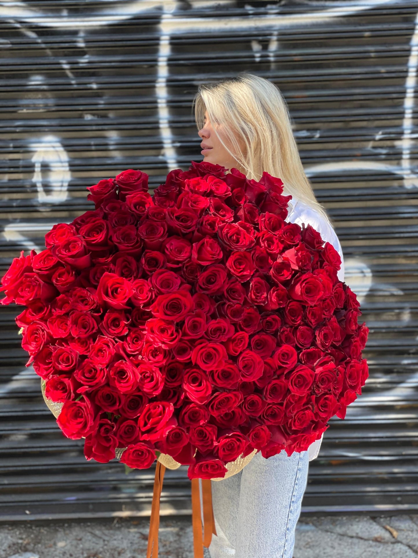 50 Magnificent Red Roses