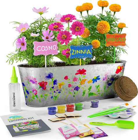 Dan&Darci Paint & Plant Flower Growing Kit for Kids | GIGI Bloks