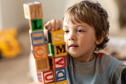 Blocks For Toddlers Alphabet | GIGI Bloks