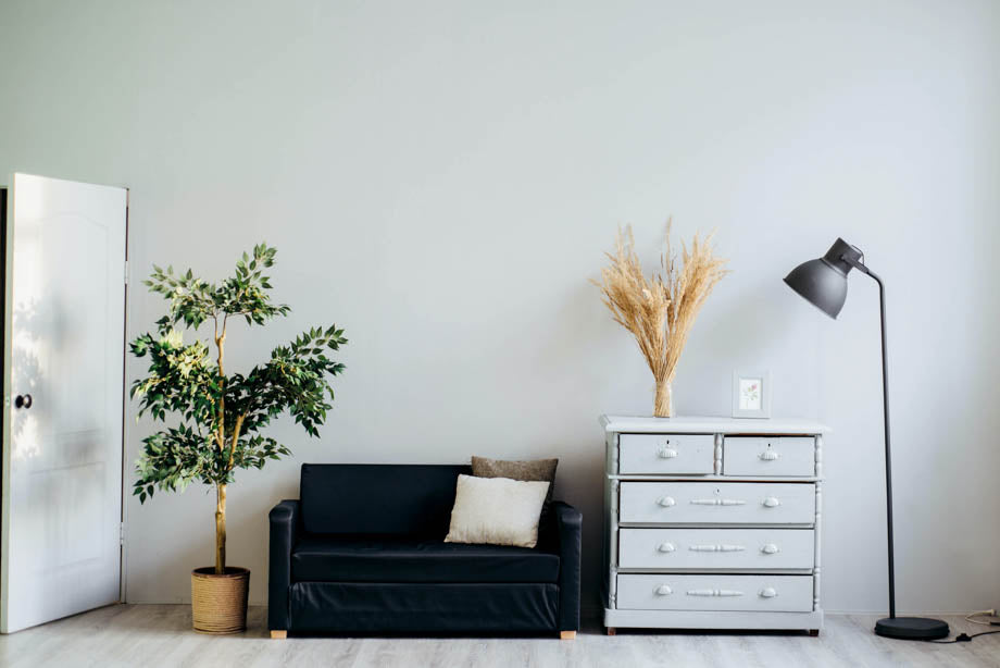 Decorating a living room with pampas grass