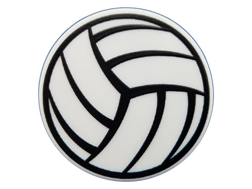 Volleyball Plate Disc