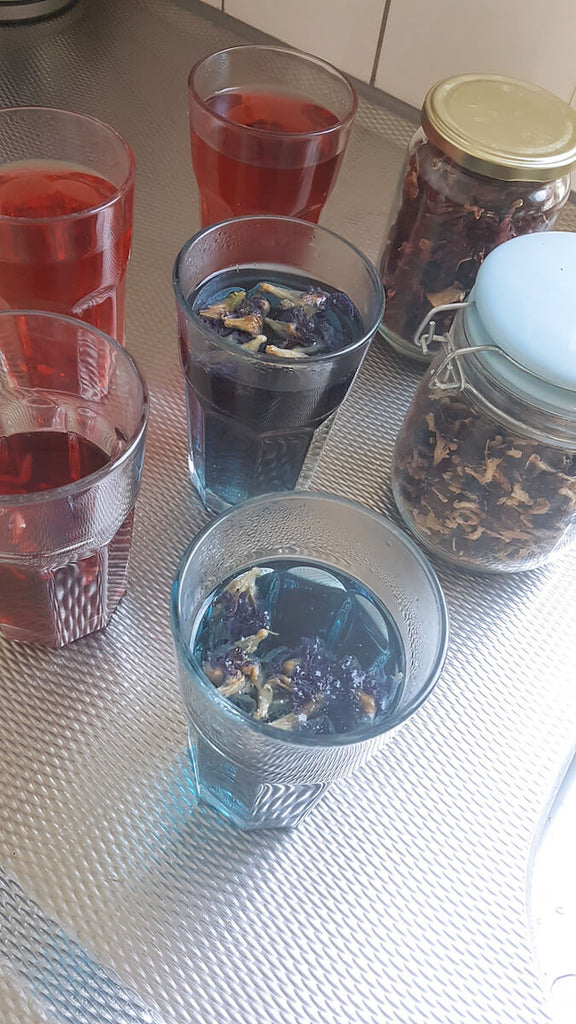 Adaptogene herbal waterijsjes met Butterfly pea en Hibiscus  