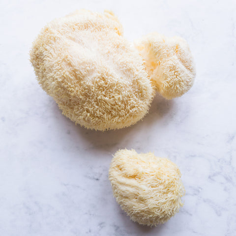 Lion's Mane paddenstoel is een krachtige adaptogene nutricosmetics voor de huid