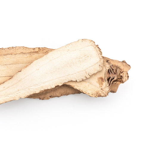Astragalus adaptogeen is een kruid dat traditioneel wordt ingezet voor energie en uithoudingsvermogen