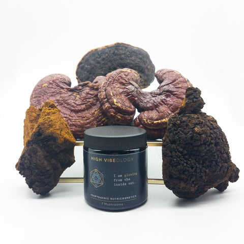 Adaptogenen voor je huid van High Vibeology met o.a. Chaga en Reishi paddenstoelen