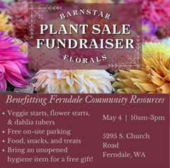 Barnstar Plant Sale with dhalia flowers