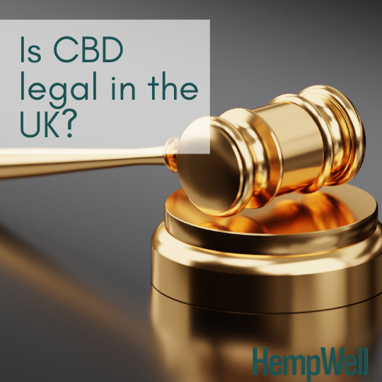 The 20 Most Commonly Asked Questions About CBD  hempwell.co.uk