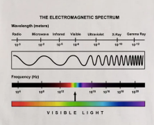 Electromagnetic Spectrum Men's T-Shirt (also in Women's sizes) - 100% organic cotton