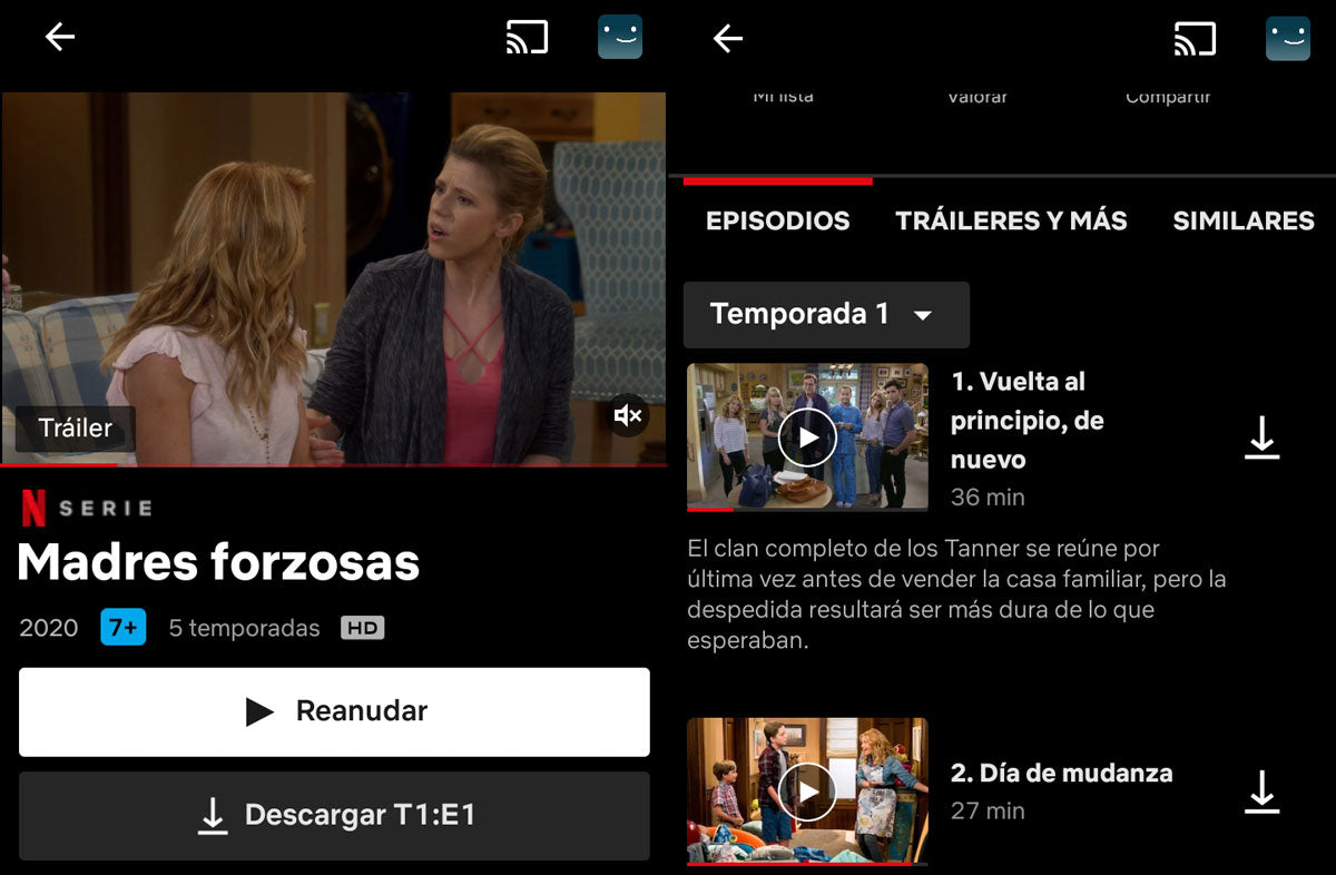 descargar peliculas netflix sin conexion