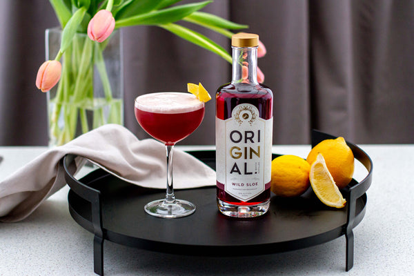 Sloe Gin Sour Cocktail Recipe