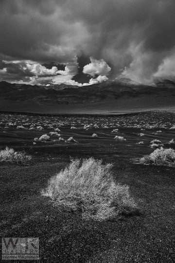 Looking for Ansel Adams no. 8