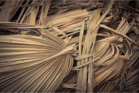 dry palm leaf sustainable raw material for wall decor