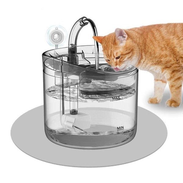 Petmonde-Fontaine d'eau automatique pour chat et chien abreuvoir pour animaux de compagnie ( 2 Litres )-chat--Petmonde