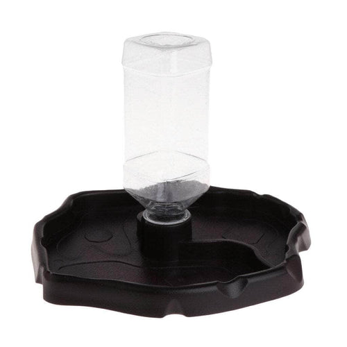 KGDUYC 2 Pièces Nourriture pour Abreuvoir Tortue Plat de Reptile-Gamelle  d'eau pour Tortue en Forme de Feuille pour Petits Animaux Domestiques  Reptile Tortue Lézard Serpents : : Animalerie