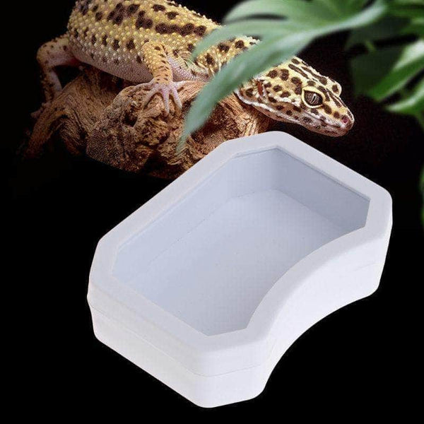 POPETPOP 2 Pièces Bol De Nourriture Alimentation Des Reptiles Plat