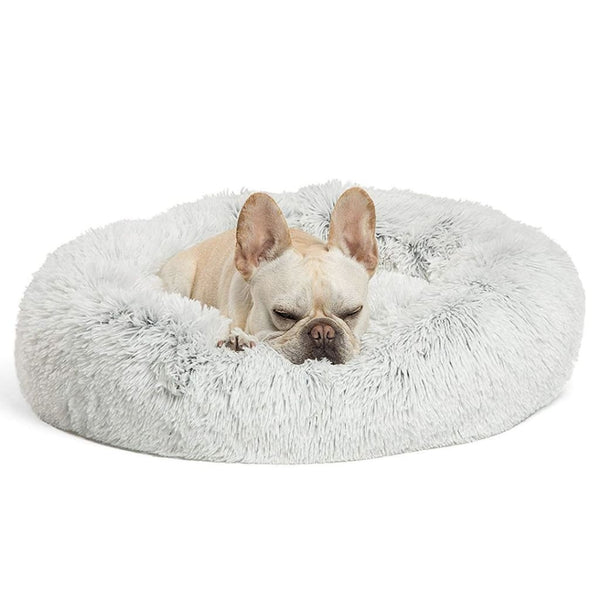 pawsh dog bed