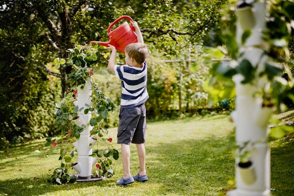 water geven aan de sissi strawberry is kinderspel