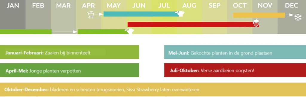 aardbeien kalender