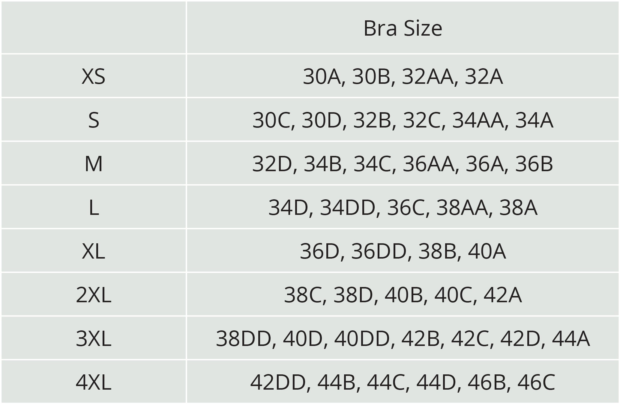 Purple 30A, 30D, 32D, 34A, 34B, 34C, 34D, 36A, 36C, 38C, 38DD, 40B Bras