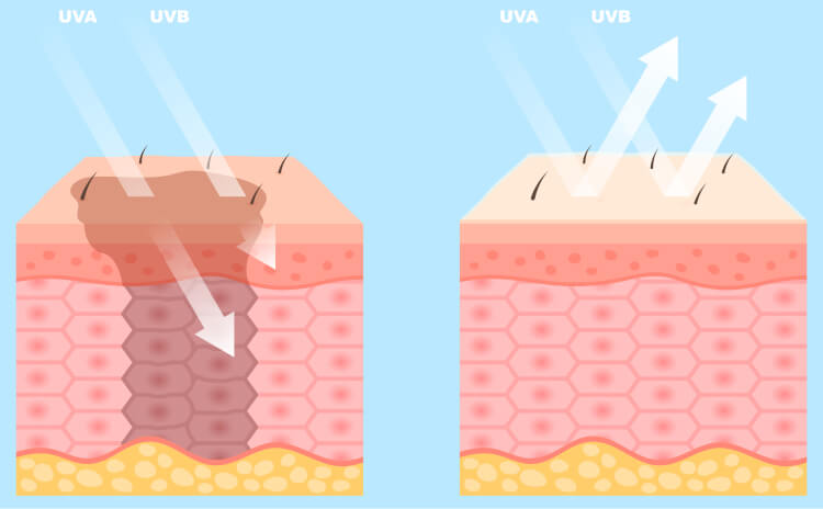 UVA vs UVB stråling, både med og uden solcreme effekt