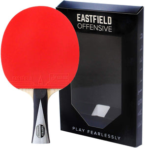 professional table tennis paddle