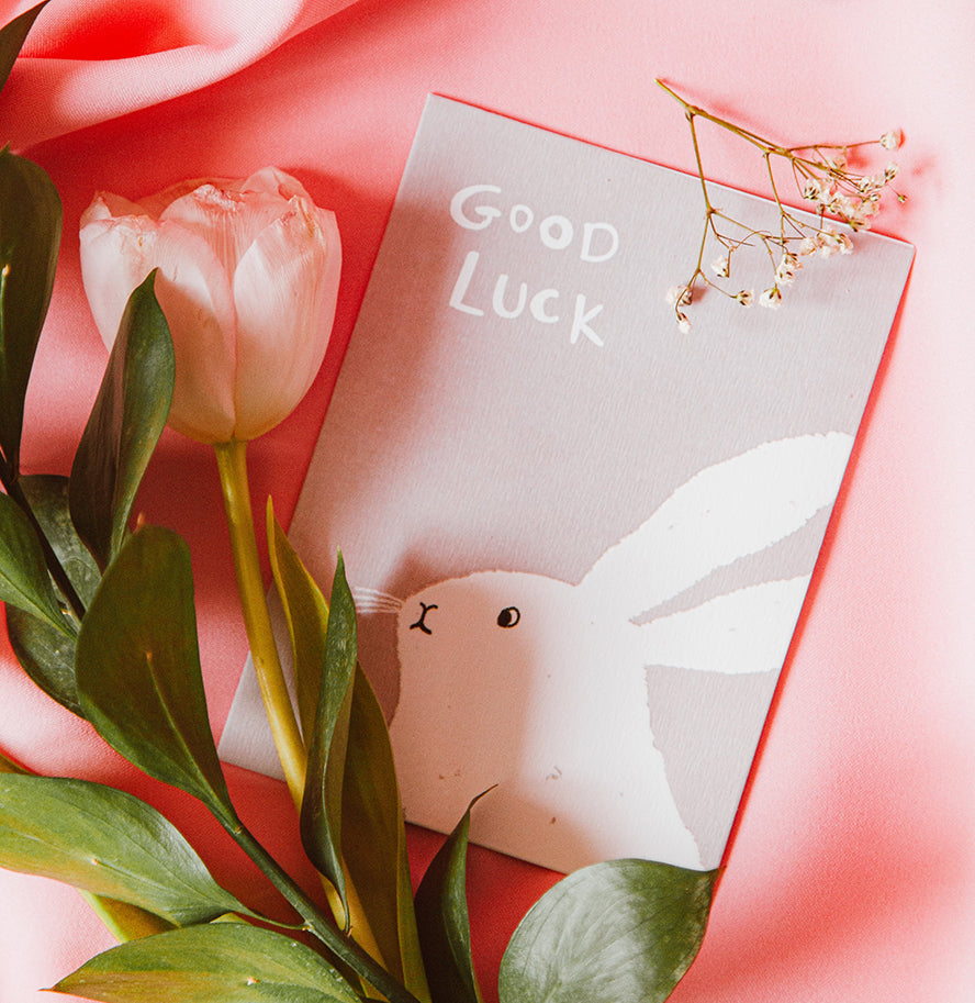 An attractive good luck card featuring a rabbit.