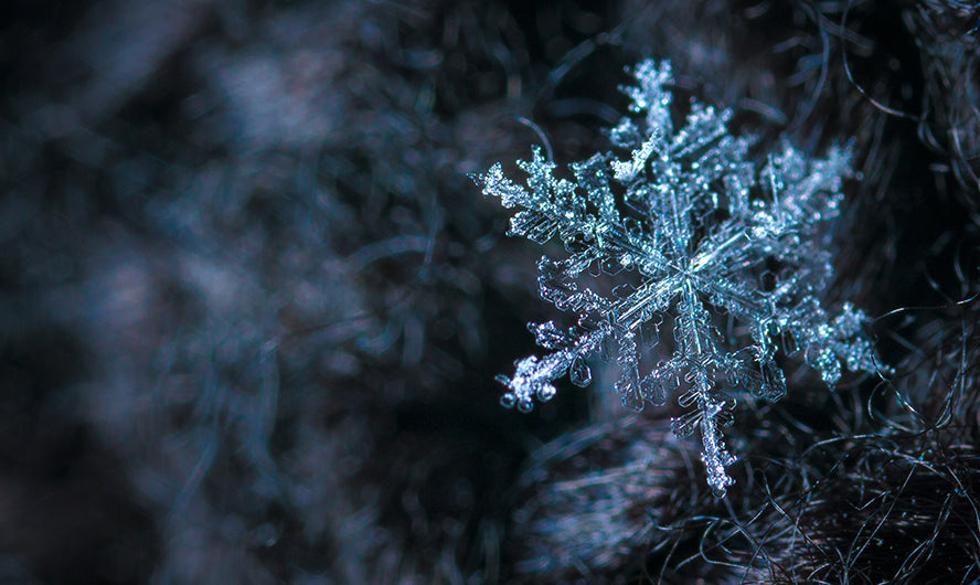 A frosty window and a lovely snowflake.