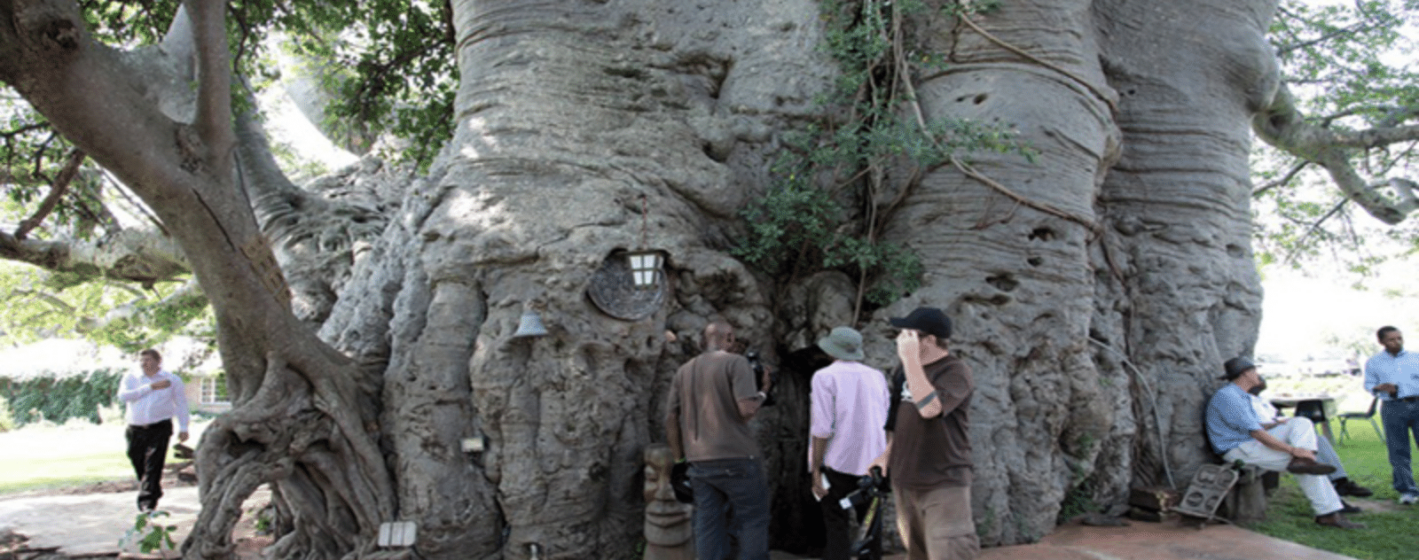 Bar Baobab Afrique du Sud