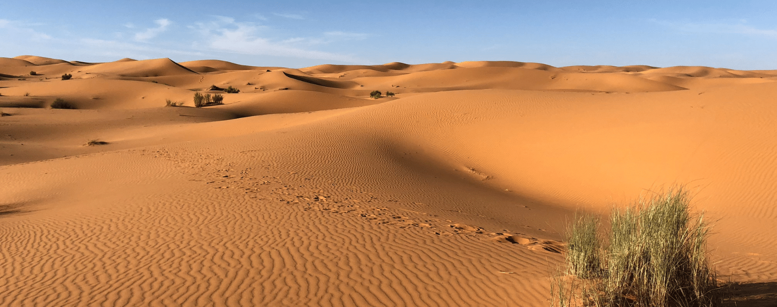 Le plus grand desert du monde